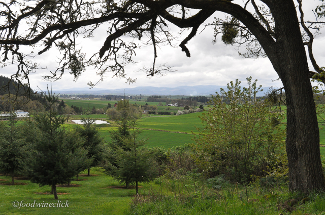 A beautiful spring view of the Willamette Valley from the Evesham Wood winery.