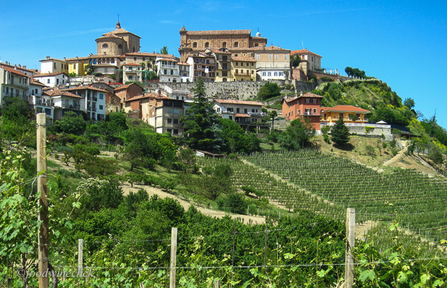 Looking up at La Morra, one of the hilltop towns in Barolo.
