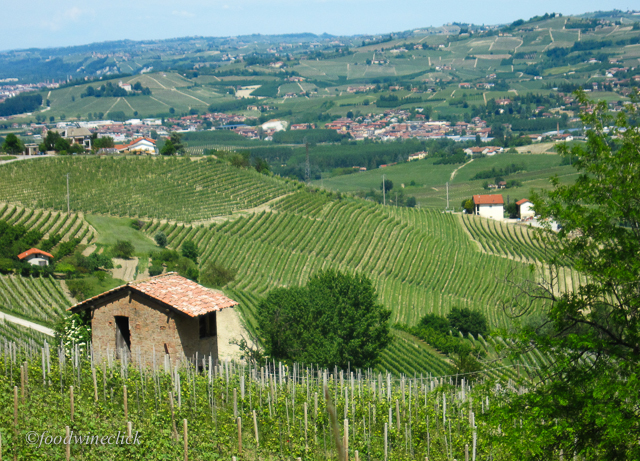 The little shed is called a ciabot, a shelter in the vineyard.