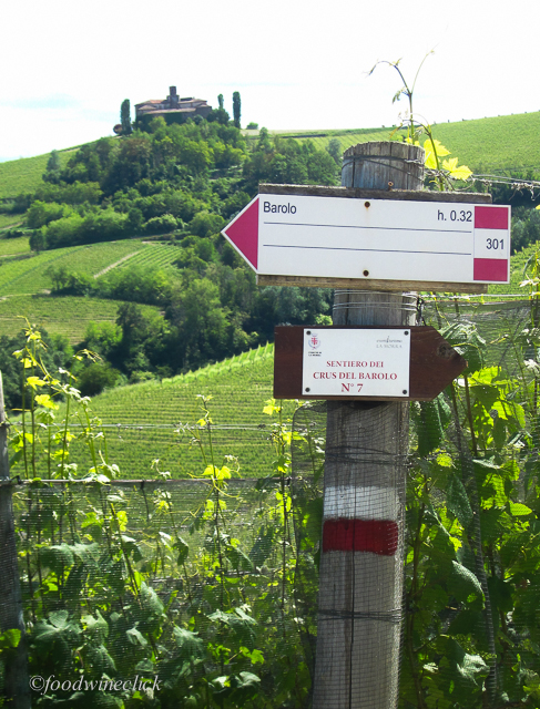 Trail signs in Langhe vineyards show you the way, complete with time estimate