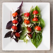 Dark Opal, Perpetual Pesto, and Regular Basil