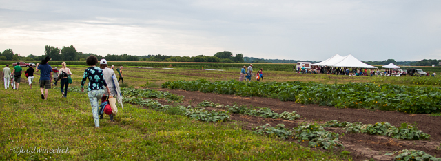 our csa farm field