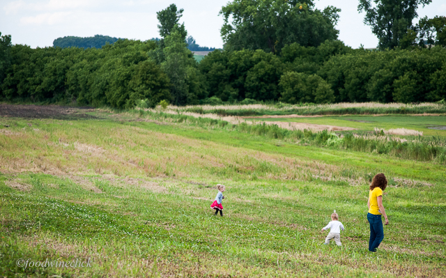 kids playing in the field