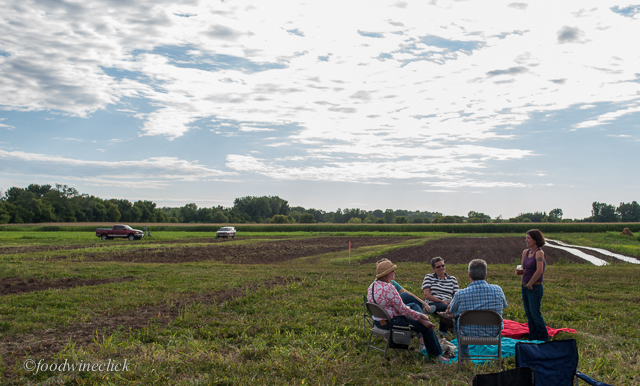 picnic - ers out in the field