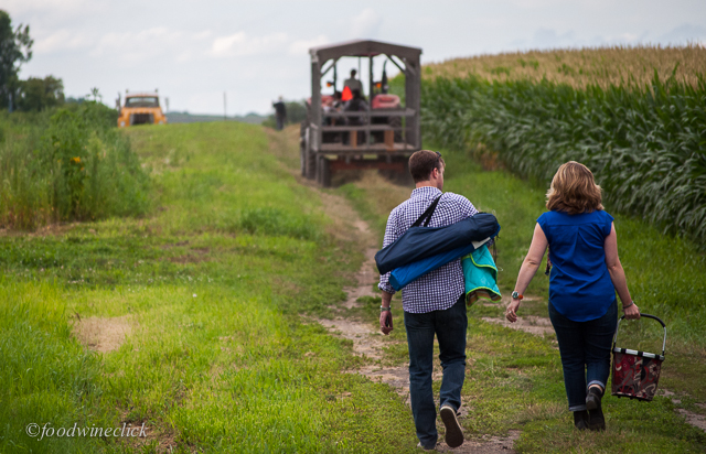 walk out to the farm
