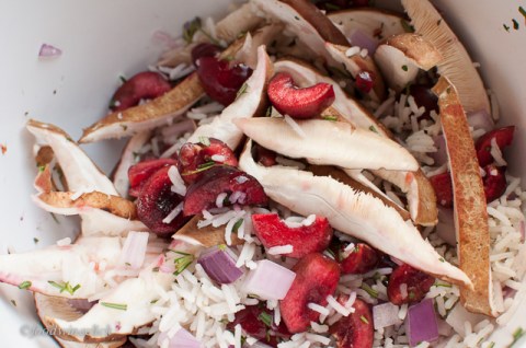 basmati rice stuffing with cherries, red onions, and shiitake mushrooms