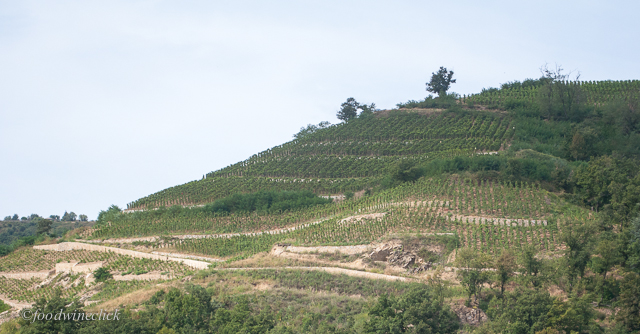 You can see why the Chaves employ a full time stone mason!