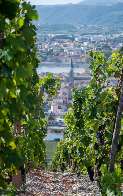 View from the Chave vineyard on Hermitage