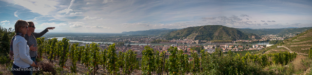  Jean-Louis Chave vineyards at Hermitage