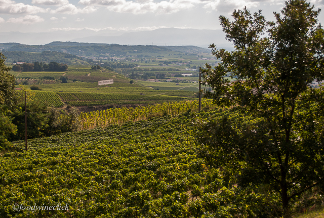 Crozes-Hermitage includes vast areas of flat ground away from the riverside slopes