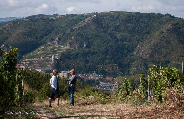 The Rhone river defines the entire region! A view over to St. Joseph from the hill at Hermitage