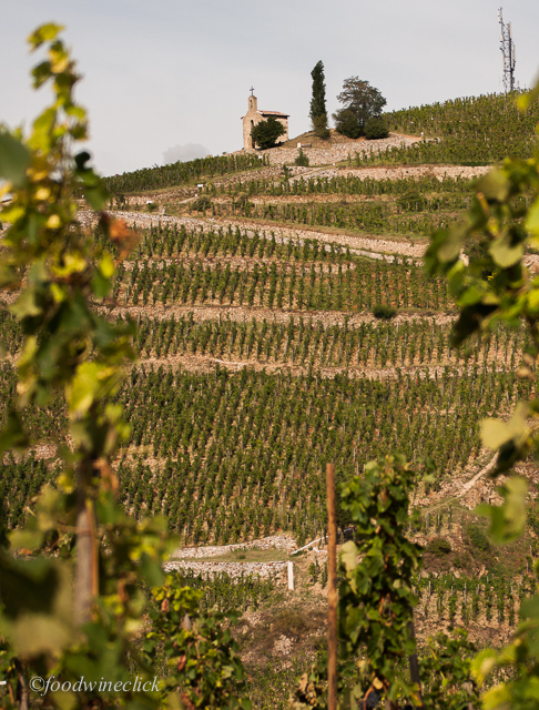 Hermitage is a hill; no flat ground here.