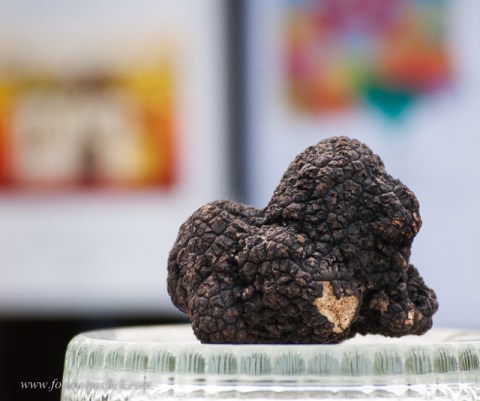 A fresh black truffle shipped from Europe