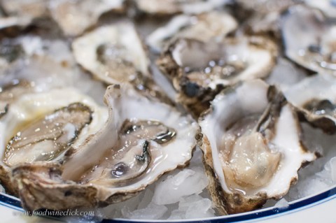 Oysters from the Hammersly inlet on the Puget Sound