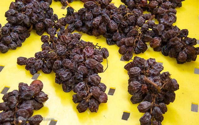 Dried grapes, almost ready to press
