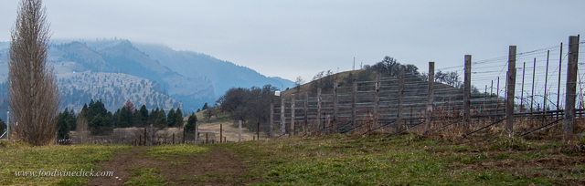 A view to the east, the Columbia River is behind the ridge off to the right.