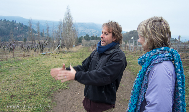 Steven took us for a tour of the recently planted estate vineyard