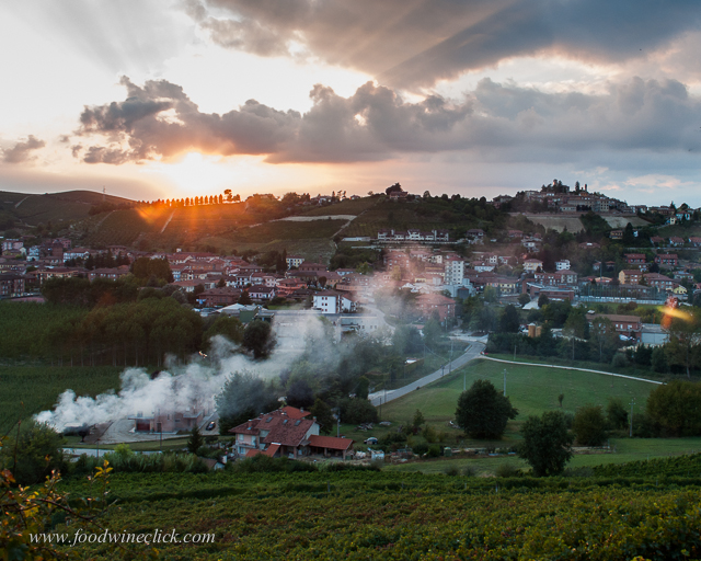 Evening view of the Barolo hills.