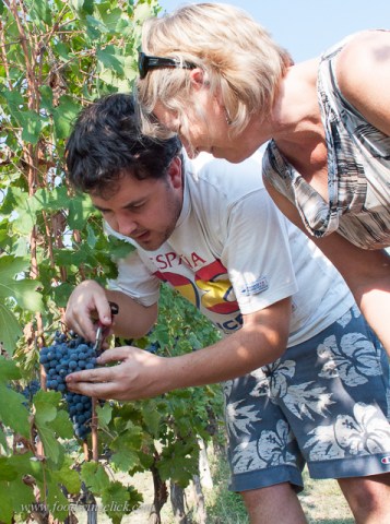 Nicola invited us to join him out in his vineyard.