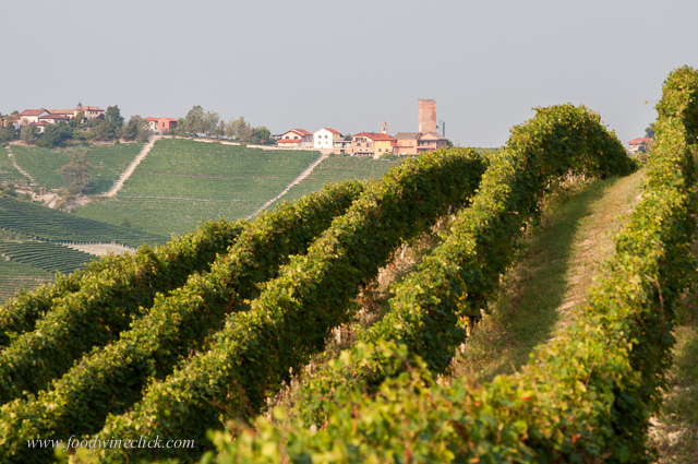 Vineyards cover the hillsides, and the next town is not far away.