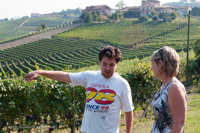 Nicola invited us to join him in his section of vineyard in the Rocche de la Annunziata