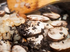 truffle_beefstrog_trediberri_barolo_20140304_82