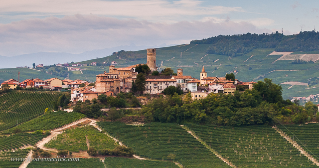 Beautiful Barolo Region!