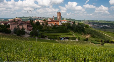 View of Barbaresco