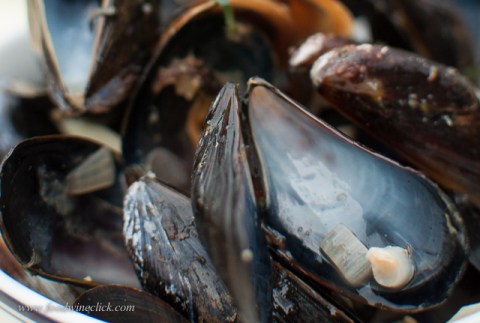 Before you know it, they're gone and you're thinking about the next time you can make them!