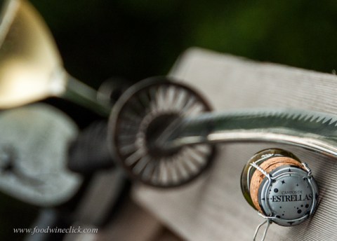 Brut Cava, fun drink, even more fun to open with your favorite sabre!