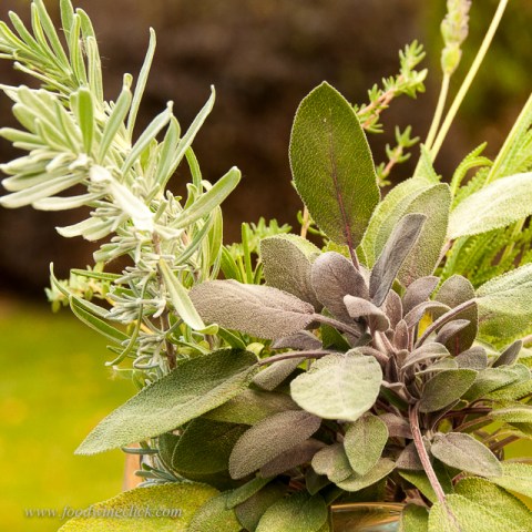 Hardy herbs are still doing just fine in my Minnesota garden