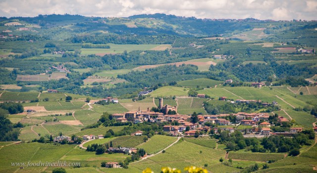 As you drive to visit, you may need to pull over for a minute, just to enjoy the view (Castiglione Falleto)
