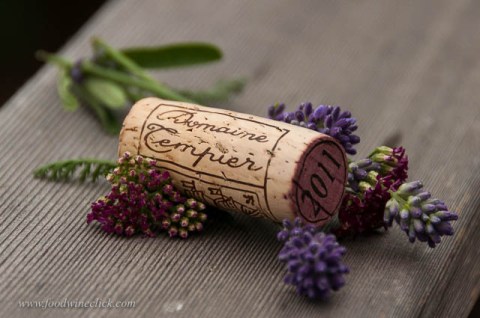 Domaine Tempier produces fine red Bandol wines.  