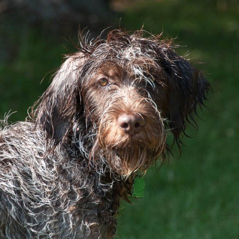 Otto says: don't you need to go take some photos?