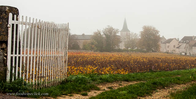 Chassagne-Montrachet in the fog