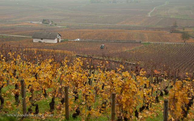 After your visit, you'll want to bring some wine home!