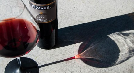 Sunlight streaming through Demarie Barolo