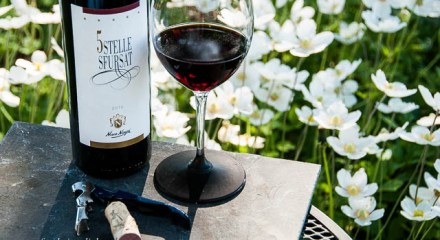 Nino Negri 5Stelle Sfurzat