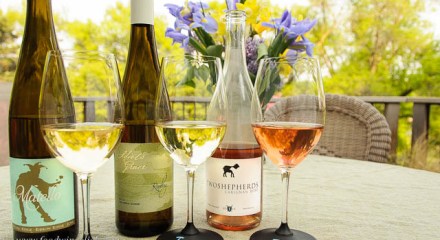 wine choices for spicy food