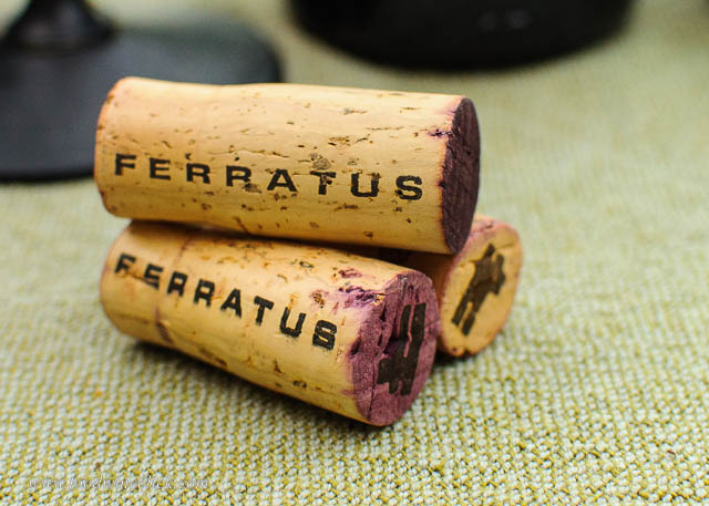 ferratus_ribs 20160626 35