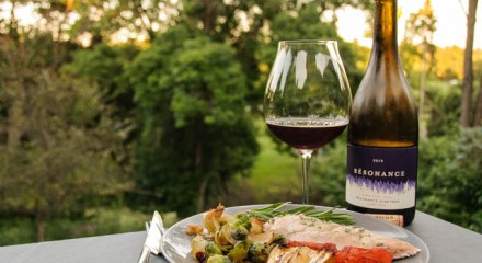 Resonance Pinot Noir paired with grill roasted chicken