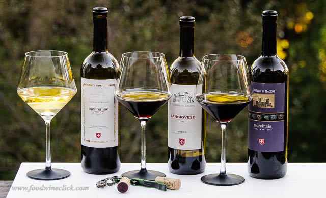 Castello di Magione wines 