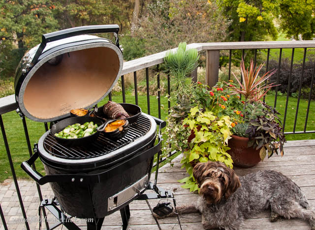 Grilling on a particularly fine fall evening, Otto is guarding the grill!