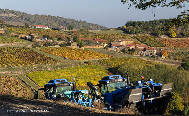 beaujolais_visit-20161101-125
