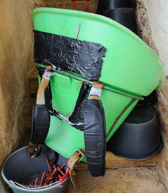 Beaujolais grape picking equipment