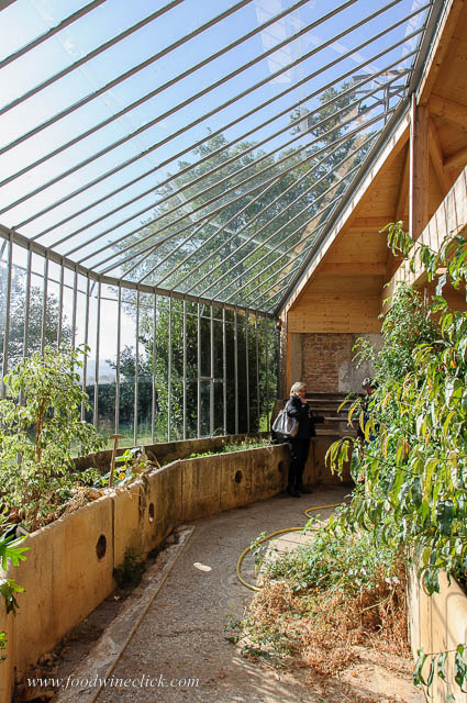 greenhouse at Chateau Buffavent