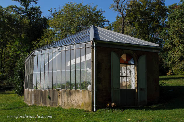 greenhouse at Chateau Buffavent