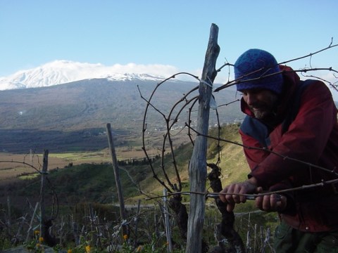 Frank Cornelissen working near Mt. Etna