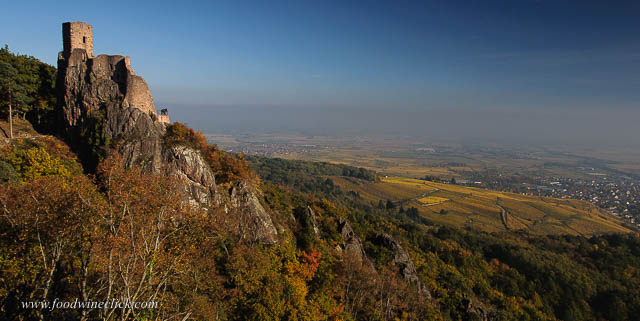 Alsace view from the Vosges mountains above Ribeauville
