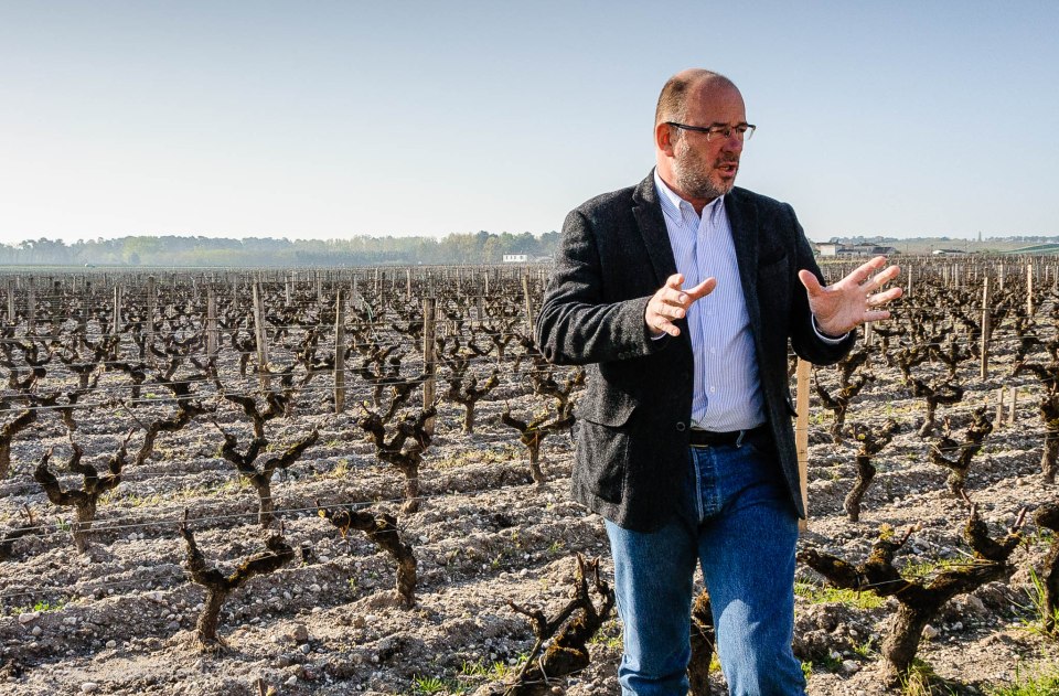 Pierre Montegut of Chateau Suduiraut in the estate vineyard